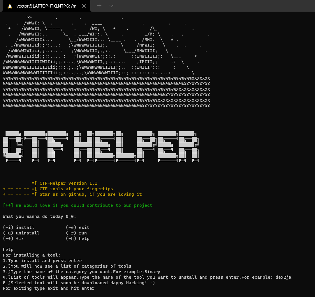 CTF (Capture The Flag)
